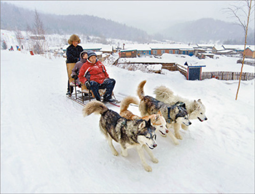 狗拉著雪橇在雪原中肆意奔跑。（大海林林業局供圖）