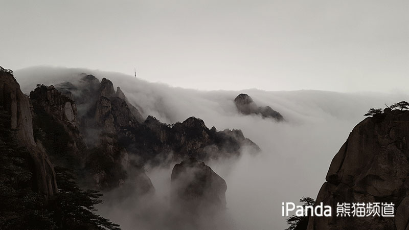 黃山風景獨好