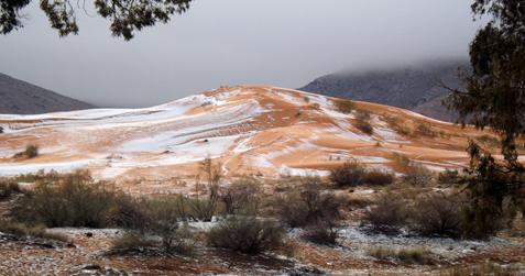 Picture taken on December 19, 2016 shows the snow covering the sand in the Sahara Desert near the town of Ain Sefra, Algeria. Snow has fallen in the Sahara Desert for only the second time in living memory. [Photo/IC]