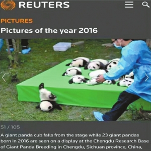 Reuters la clasificó la mejor de 2016