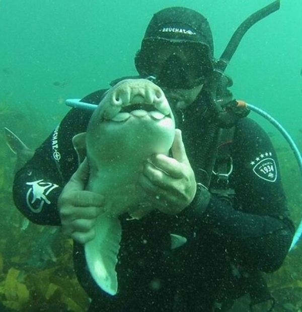 Anderson la abraza en el mar