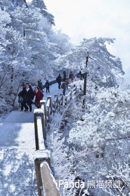 黃山雪後美景 余建輝 攝