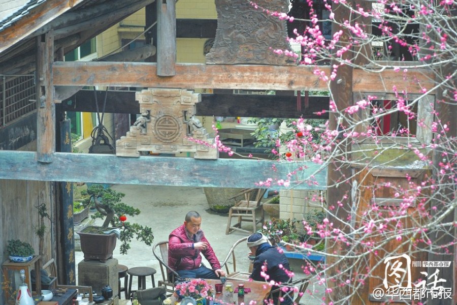 Bajo las puertas del dragón, Li Xiaochun disfruta de una taza de té y observa las flores de melocotón en el patio