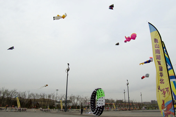 大型異型軟體風箏
