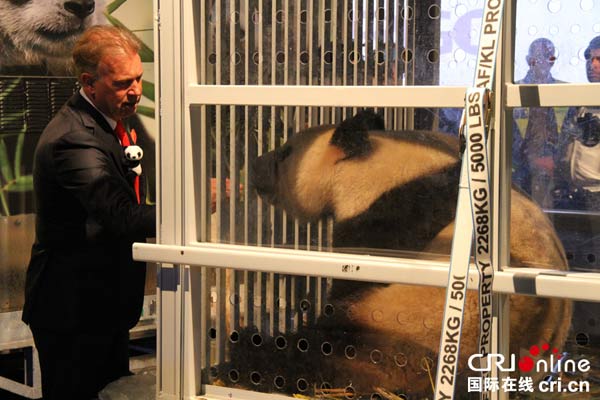 Cute and cuddly "panda-monium" hit the Netherlands on Wednesday, with the arrival of the country