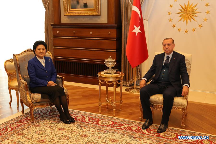 Turkish President Recep Tayyip Erdogan (R) meets with visiting Chinese Vice Premier Liu Yandong in Ankara, Turkey, on April 18, 2017. (Xinhua/Qing Yanyang)