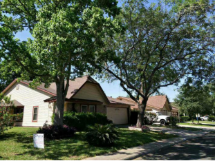 Neighborhood homes in a suburb of San Antonio, TX.  Photo/Zhou Yawei