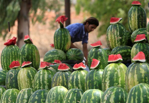 A vendor stands behind watermelons displayed for sale in Kfar Tebnit village, southern Lebanon, August 18, 2016. [Photo/Agencies]