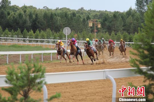 中國獎金最豐厚賽馬公開賽開鑼多國名馬同場競技