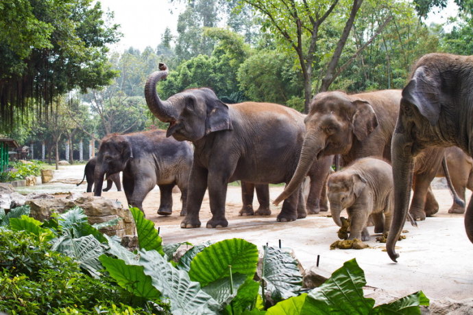 Changlong Safari Park