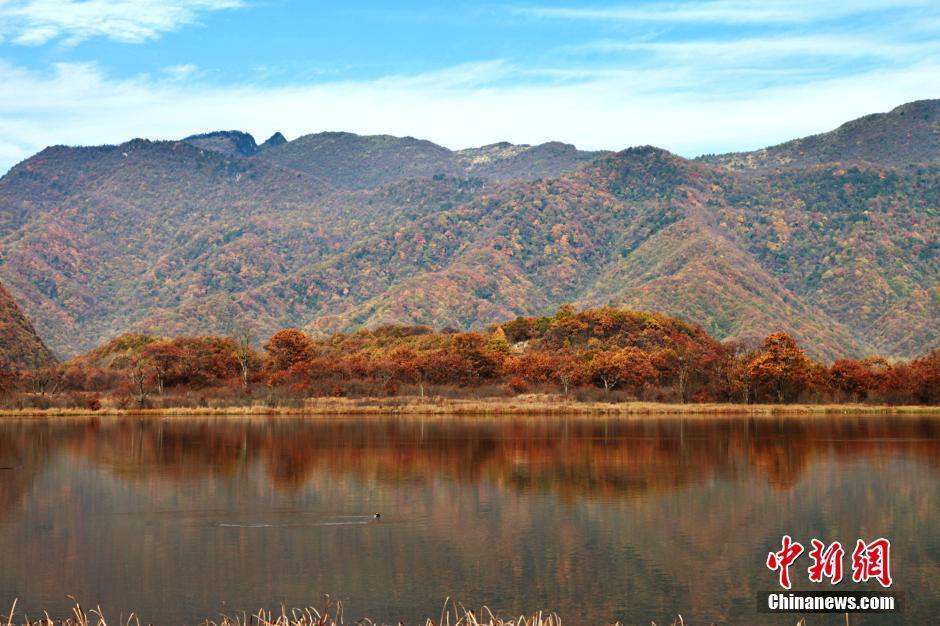 圖為湖北神農架林區大九湖國家濕地公園迎來一年中最美好的季節。中新社記