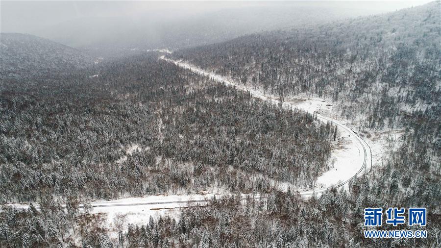 十里冰雪畫廊森林景觀帶的雪後景色（10月12日攝）。