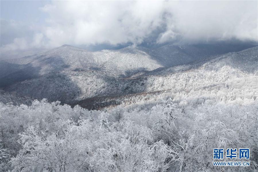 十里冰雪畫廊森林景觀帶的雪後景色（10月12日攝）。