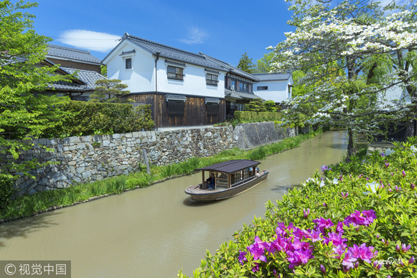 日本京都南區，寺廟花園中的樹木和藍天。