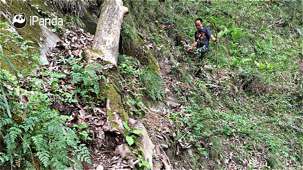 （只夠一隻腳踩下的路/吳振宇 攝）