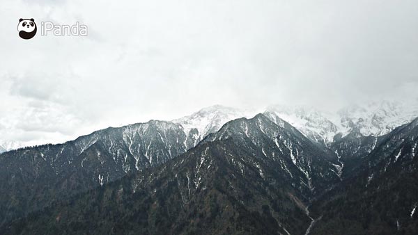 （被大雪覆蓋的山頂/何禮文 攝）