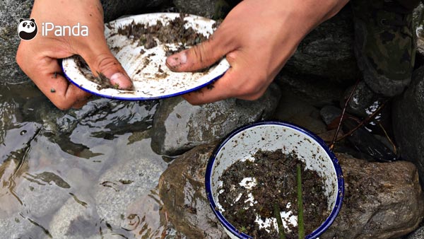 （跟隊員們學會的河沙青苔洗碗法/吳振宇 攝）