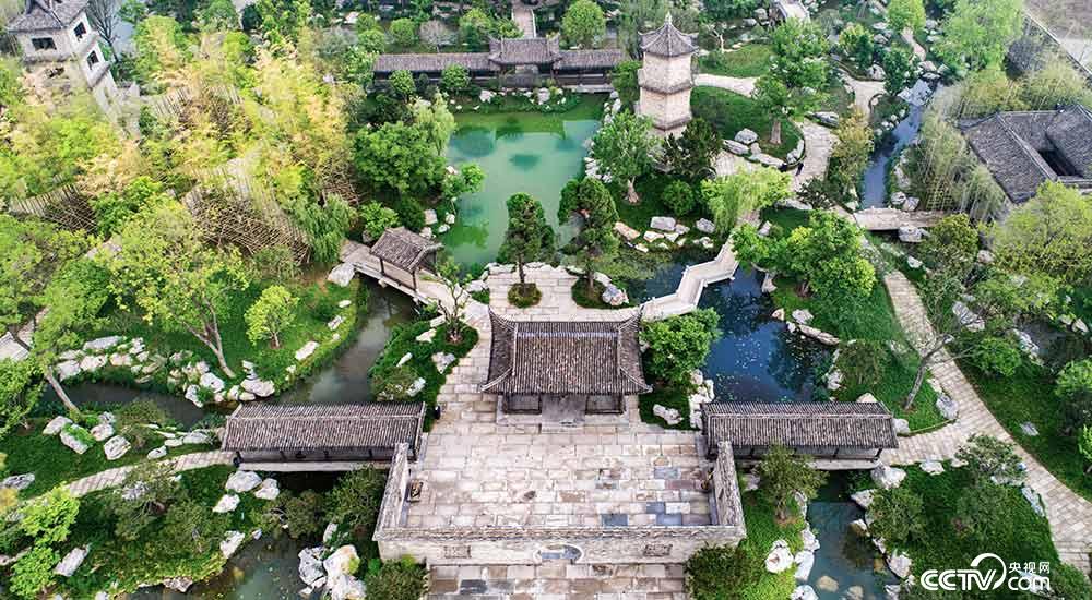 《尤家花園》葉彪