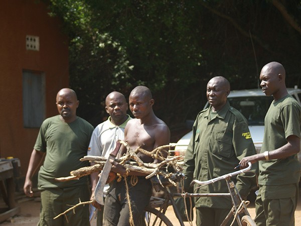  -Hunter arrested in Murchison Falls National Park, with a Machete used to kill wild animals and with firewood. (Photo/Timothy Sibasi)