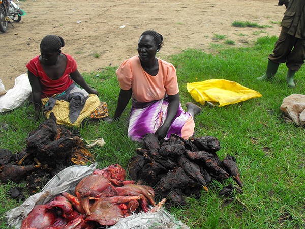 -Women suppliers of bushmeat selling both red meat and roasted bushmeat in the Murchison falls National Park, behind them is a compromised park ranger. (Photo/Timothy Sibasi)