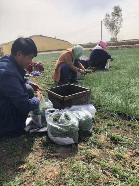 葉長煉（左）在田間地頭