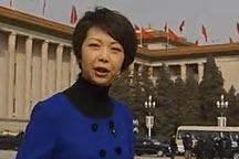 <br><b>Tian Wei observations about this year´s CPPCC session</b><br><br>