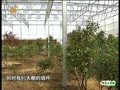 菜博會科技：光伏大棚發電量媲美三峽