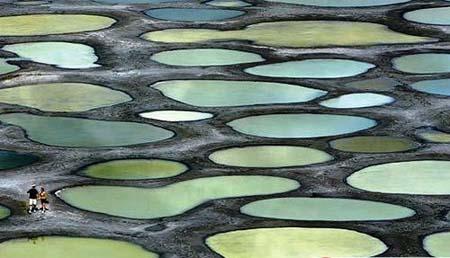 The mystic dotted lake is located in Osoyoos, South Okanagan, British Columbia, Canada. The lake's water contains high concentrations of various minerals. (Photo: travel.huanqiu.com)