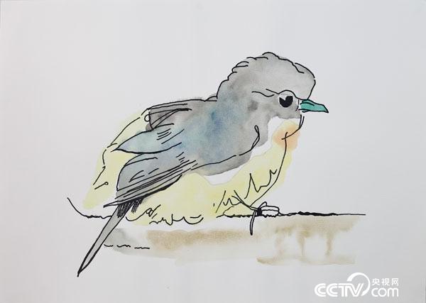 A bird, drawn by Wu Kejun