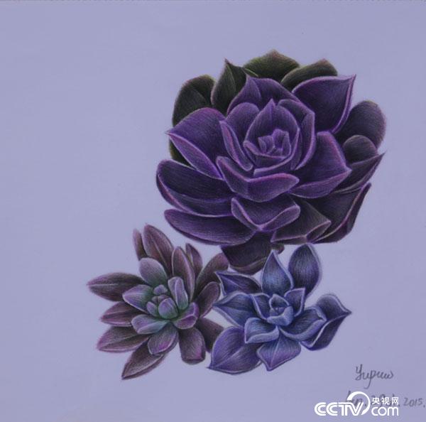 A purple flower, drawn by Wang Yupu