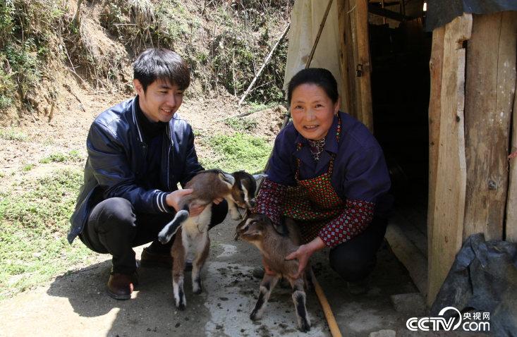 　　4月2日，記者來到彭夏英家裏的羊圈，這個月又新增了一對雙胞胎羊羔。