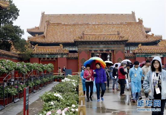 Spring has clearly arrived! Peony flowers from the Chinese city of Luoyang are being displayed alongside relics in the center of Beijing. 