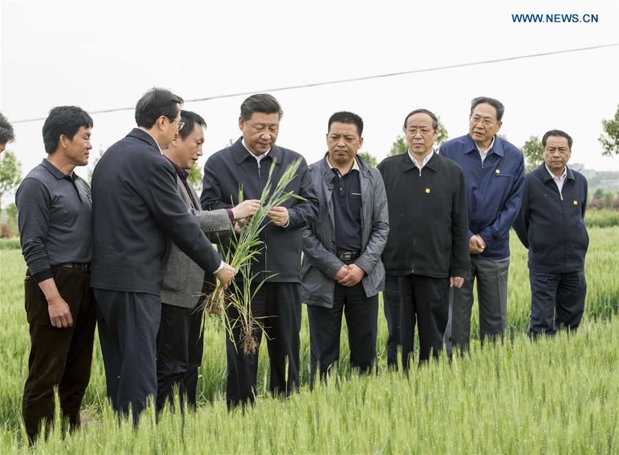 HEFEI, April 27, 2016 (Xinhua) -- Chinese President Xi Jinping inspects the growth of wheat in Xiaogang Village of Fengyang County, Chuzhou City, east China