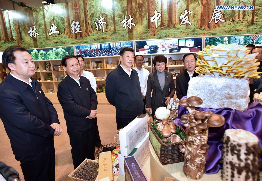 Chinese President Xi Jinping visits an Ecological Economic Development Zone in Yichun, northeast China