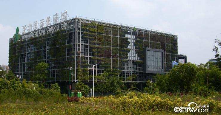 深圳國際低碳城已經成為深圳綠色發展的一張名片。圖為城市中的一座綠色建築。