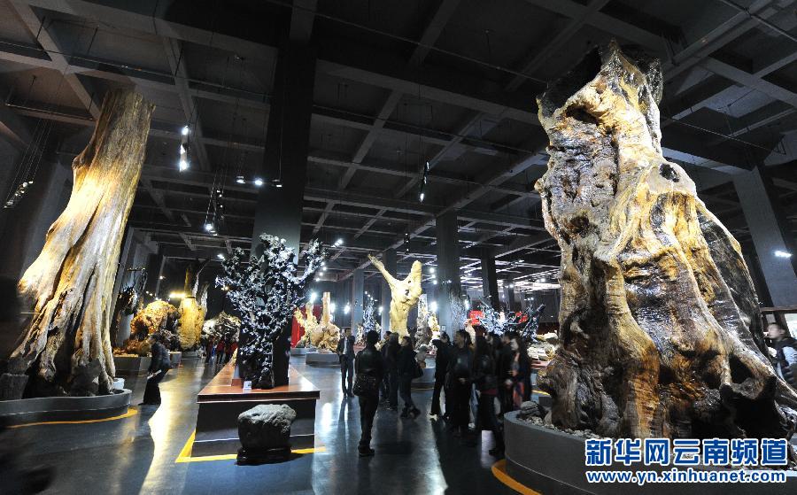 This geological museum in Kunming, capital of Southwest China