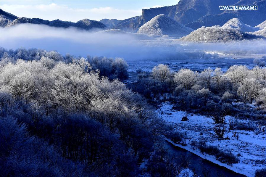 Photo taken on Jan. 8, 2016 shows the scenery of the wetland of Dajiu Lake in the Shennongjia Forestry District, central China