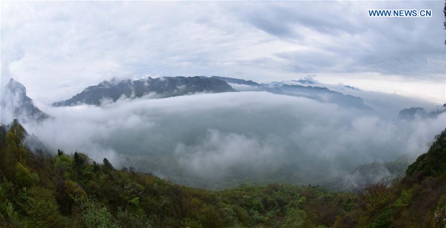 Photo taken on May 1, 2015 shows the clouds of the Yantian scenic spot in the Shennongjia Forestry District, central China