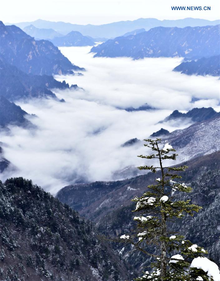 Photo taken on Jan. 8, 2016 shows the clouds of the Shennongding scenic spot in the Shennongjia Forestry District, central China