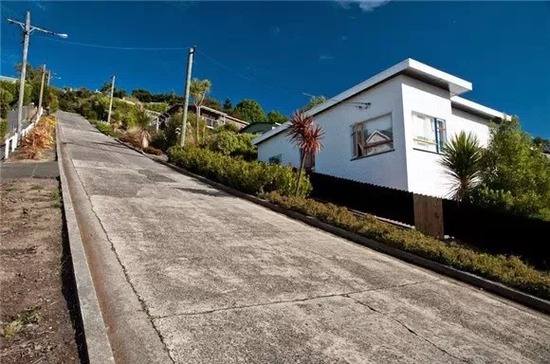 Baldwin Street is recognised by the Guinness Book of Records as the steepest in the world.