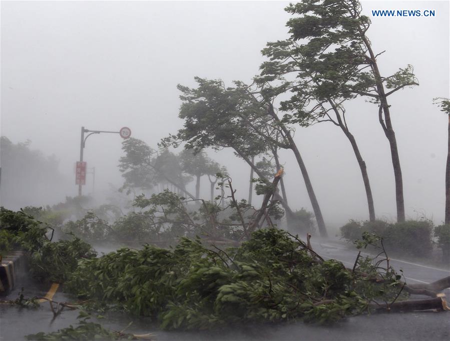 Trees are broken by strong wind on a highway from Pingtung to Kenting in typhoon-hit Taiwan, southeast China, Sept. 14, 2016. Typhoon Meranti on Wednesday brought strong winds and heavy downpour to the island. (Xinhua) 