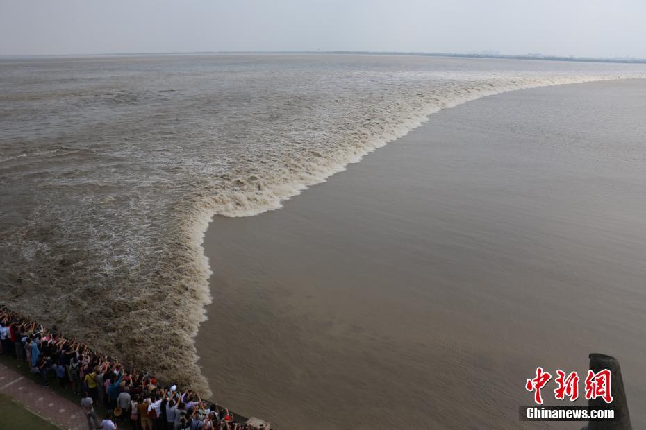 Huge waves roar up the Qiantang River