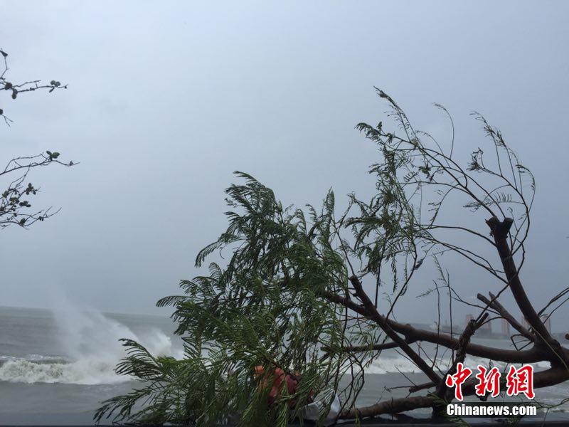 Severe typhoon Haima makes landfall in south China