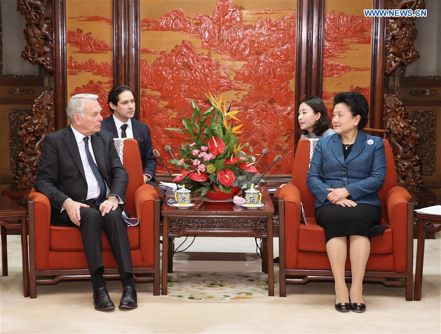 Chinese Vice Premier Liu Yandong (R) meets with French Foreign Minister Jean-Marc Ayrault in Beijing, capital of China, Oct. 31, 2016. (Xinhua/Ma Zhancheng)