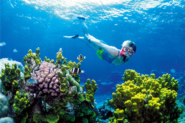 .Thousands of private volunteers are helping Australian scientists measure the impact of coral bleaching on the Great Barrier Reef.