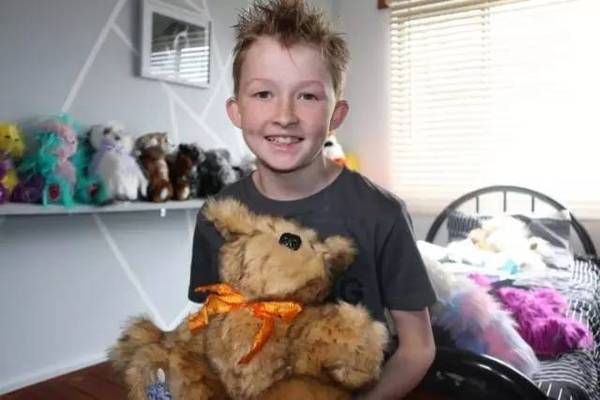 Teddy bear maker extraordinary - 12-year-old Australian Campbell Remess - has been making his own cuddly toys, one per day, for the past three years.