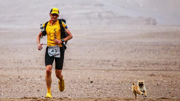 Dion Leonard and a stray border terrier became stars of the desert marathon in China in June 2016.