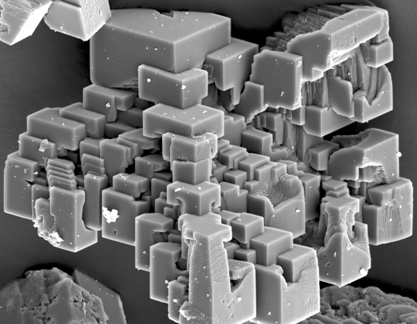 These strange structures are calcium carbonate crystals, imaged at 2,000× magnification.