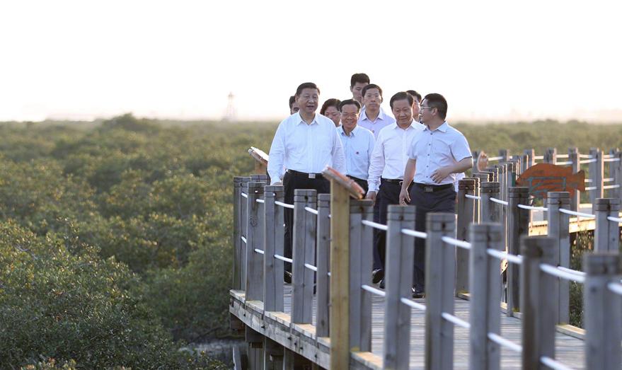 President Xi Jinping visits the Golden Gulf Mangrove Ecological Protection Zone in Beihai, South China