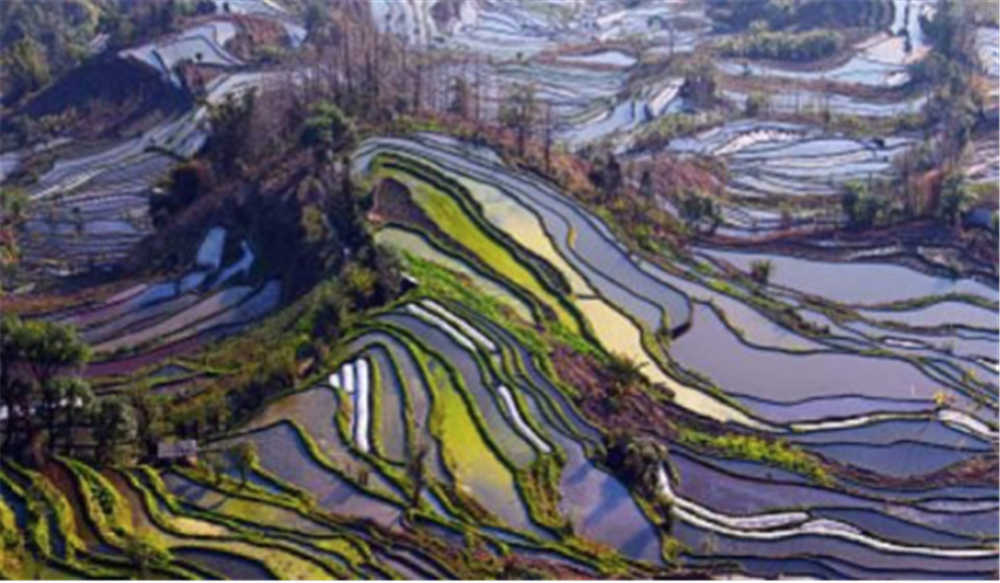 雲南哈尼梯田